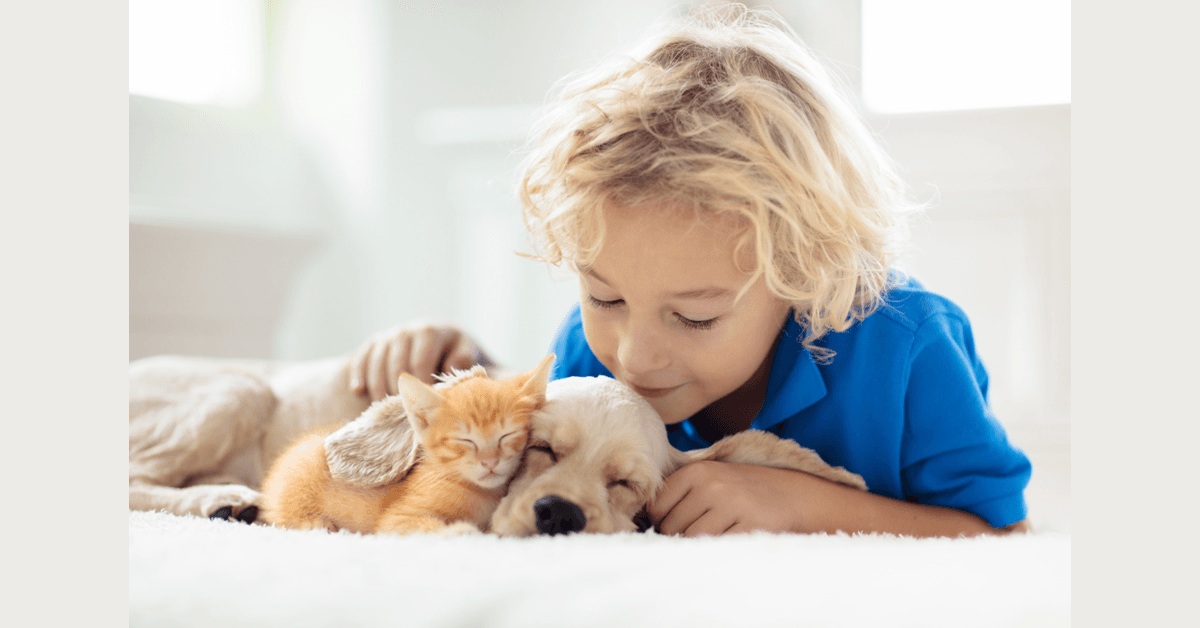 banner image for: Nouveau programme positif pour les animaux de compagnie cherche à changer l'avenir des chiens et des chats en Amérique.