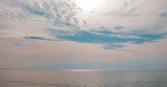banner image for: "Harvesting the Waves: How Blue Parks Shape Policy, Politics and Peacebuilding in the South China Sea" Now Available